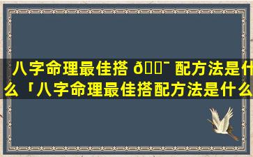 八字命理最佳搭 🐯 配方法是什么「八字命理最佳搭配方法是什么意思」